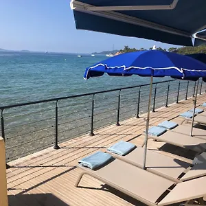 book here